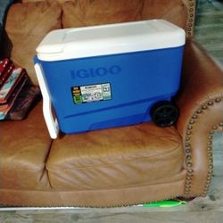 Igloo Cooler 
