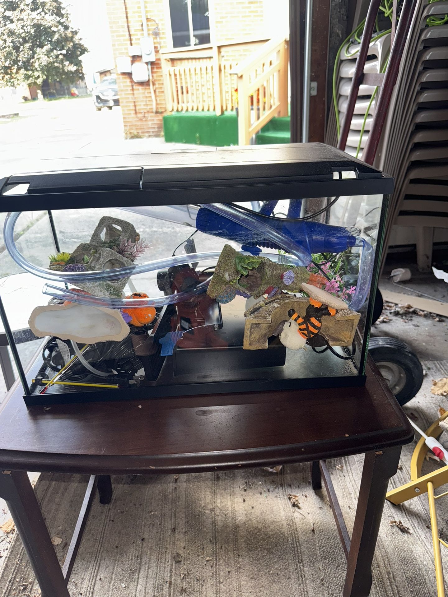 Fish Tank