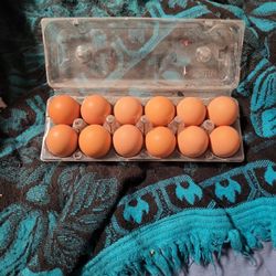 Farm Fresh Eggs