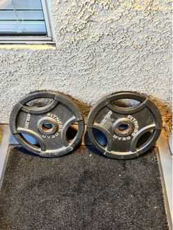 45 pound plate pair