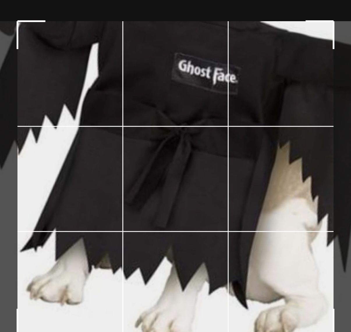 Halloween Dog Costume 