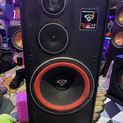 Cerwin-Vega VE-12 Party Speaker. 