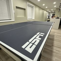 Ping Pong Table