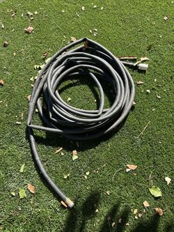 50 Ft Hose 