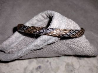 HOB 10kt Tri-Color Snake Pattern Bangle Bracelet