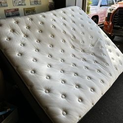 FREE MATTRESS 