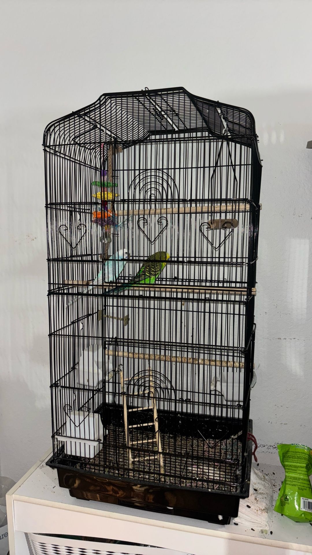 Parakeet Cage
