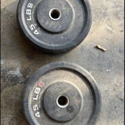 45lb Plate