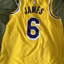 Brand New Lebron James Lakers Jersey #6