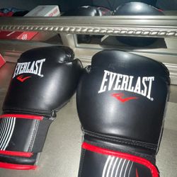 EverLast Boxing Gloves