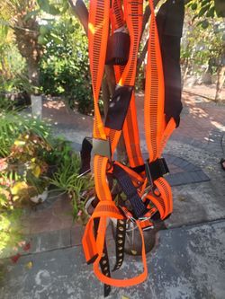 Tree hardness rope
