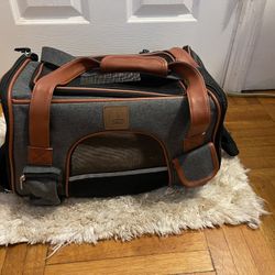 Small Dog Great Condition