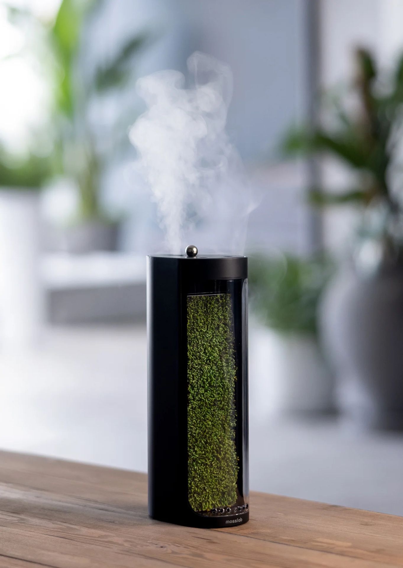 MossLab in Box – New, Unused Natural Moss Humidifier & Purifier