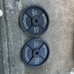 Standard Olympic Cast Iron Plate, 45LB/20.4 Kg