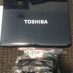 2010 TOSHIBA Satellite L300 Series Laptop