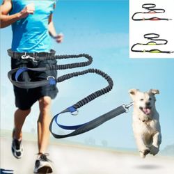 Retractable Dog Leash 