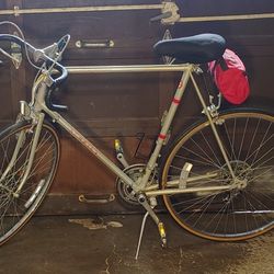 Vintage Schwinn World Sport 1979