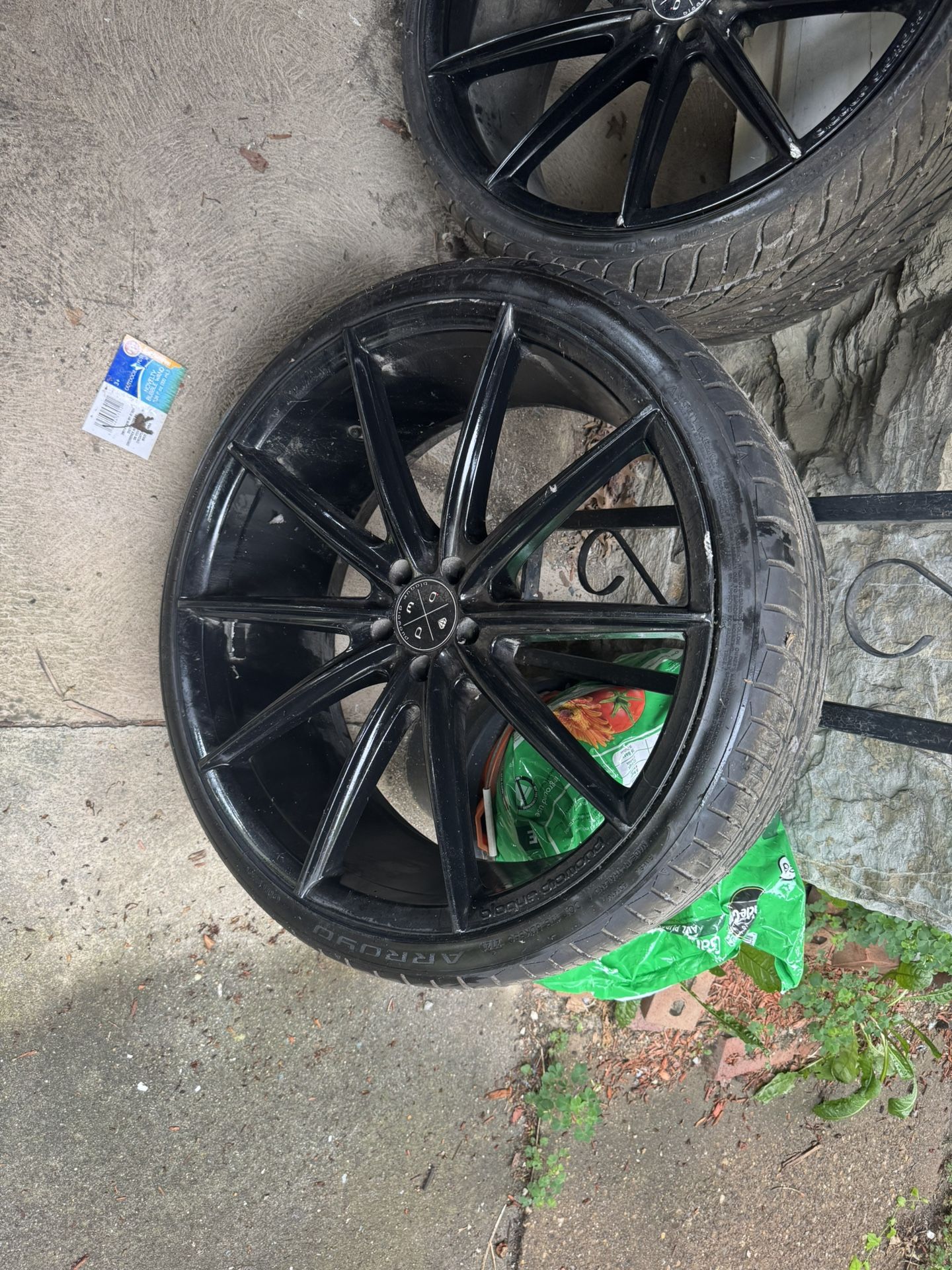Black Rim
