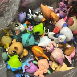 Littlest pet shop