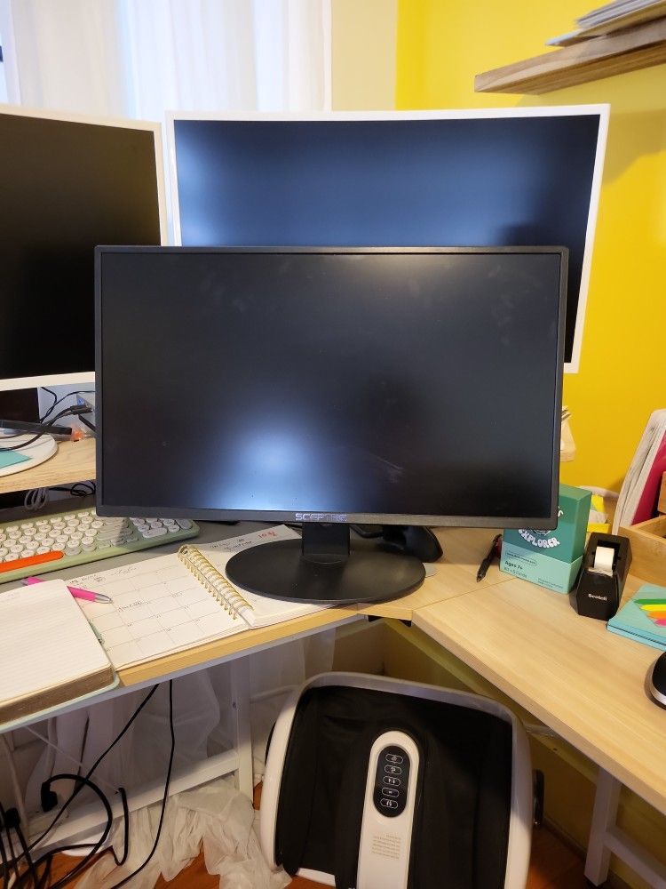 Scepter 24inch Monitor
