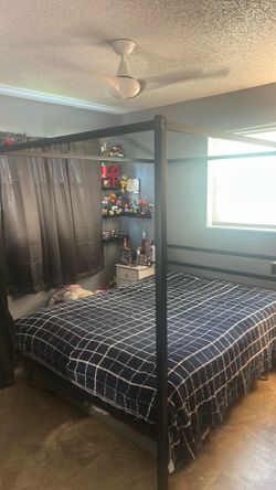 Bed