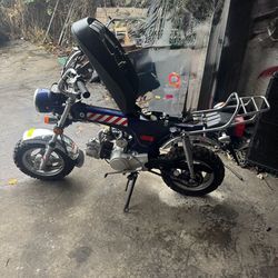 2000’s Model. Ice Bear Champion