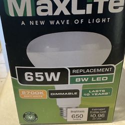 Maxlite B30 & B40 Bulbs