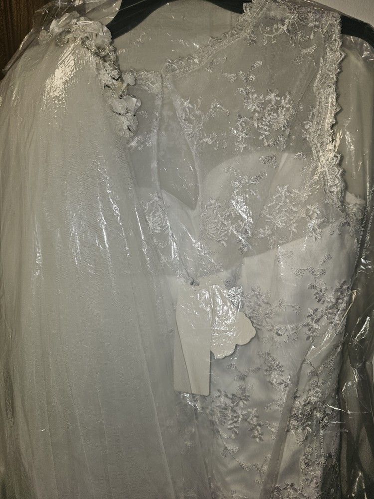 Beautiful Wedding Short Laced Dress With Veil