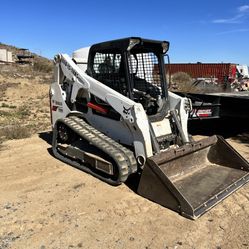 Bobcat 