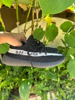 Yezzy 350 boost Oreo