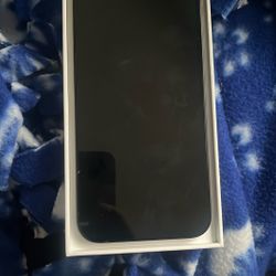 iPhone 16 E 