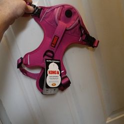 Kong Harness