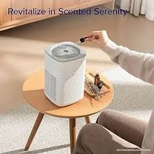 Portable Air Purifier