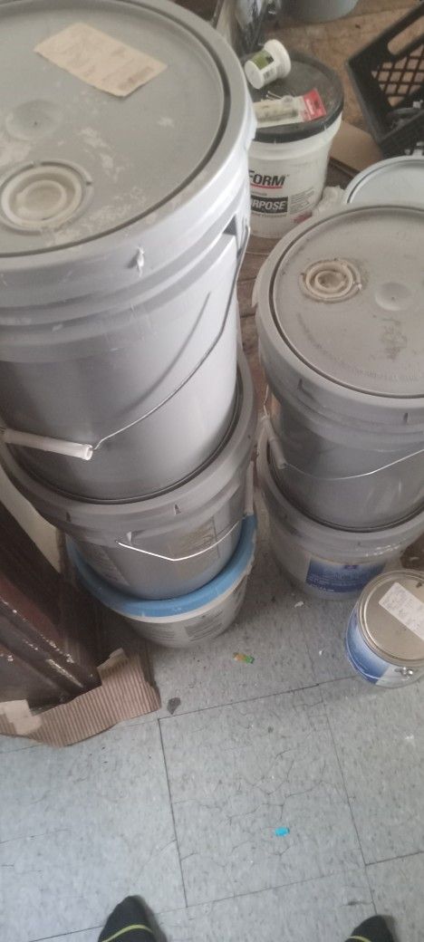5 Gallons Of Paint
