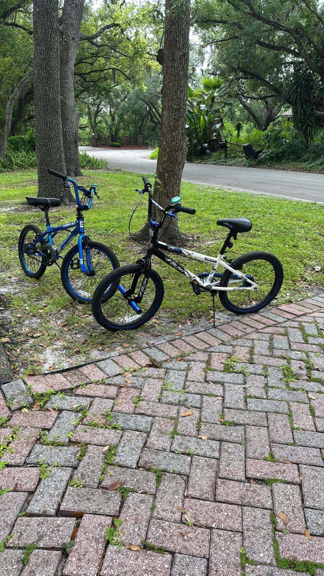2 BMX Bikes