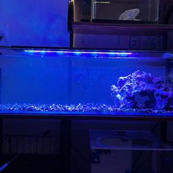 Fluval Sea Marine 3.0 LED Aquarium Lighting