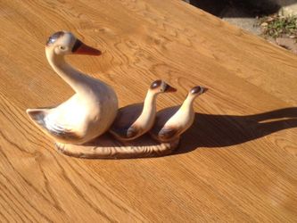 Ducks