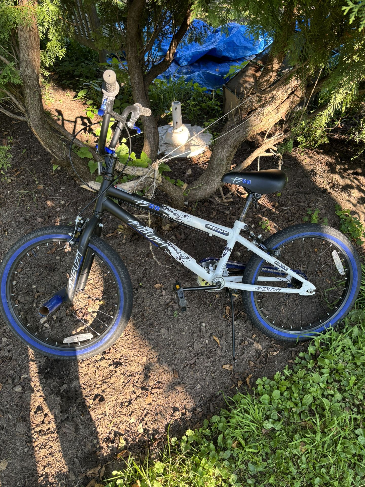 AMBUSH FS20 KENT USED Bike