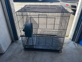 Case for rat