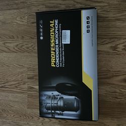 Professional condenser microphone