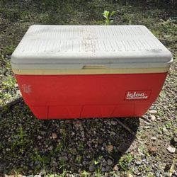 Igloo red cooler