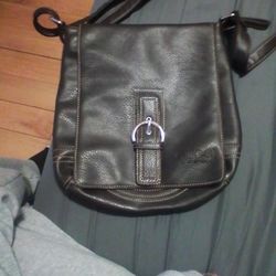 Chocolate Brown Purse