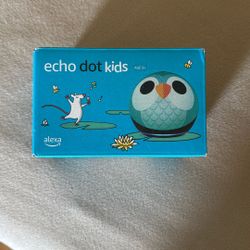 Amazon Echo dot kids--New