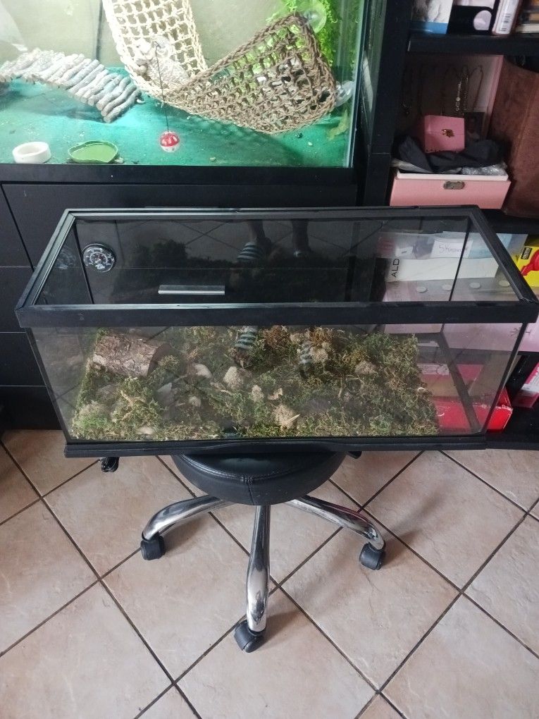 Tank 