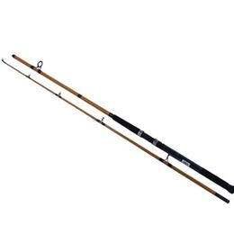 Daiwa Spinning 9ft [NEW]