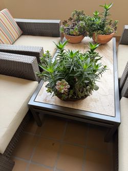 Handmade • Unique • Low-maintenance • Ready to enjoy