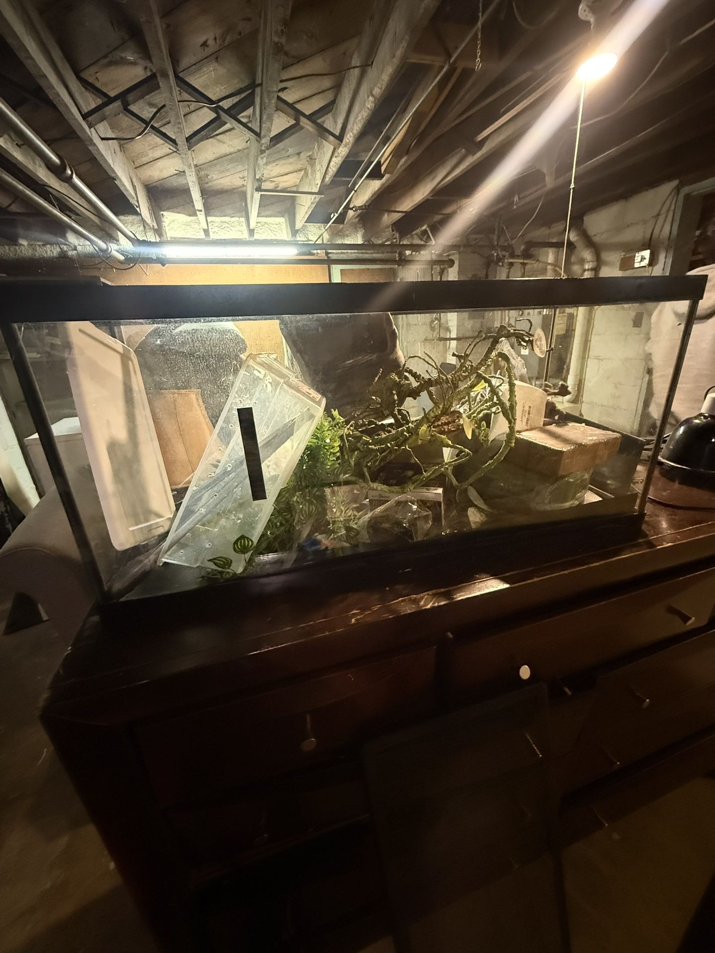 27 Gallon Reptile/Fish Tank With Reptile Accessories