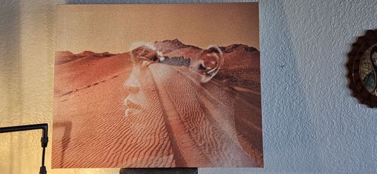 16 X 20 Bling Canvas