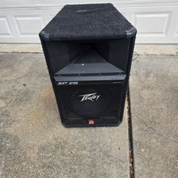Peavey SP 2G PA Speaker – Tested & Working Great – Loud Professional Sound