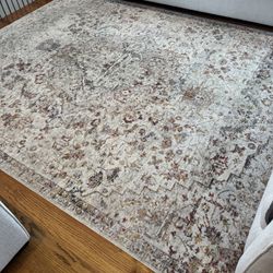 Homegoods Area Rug 